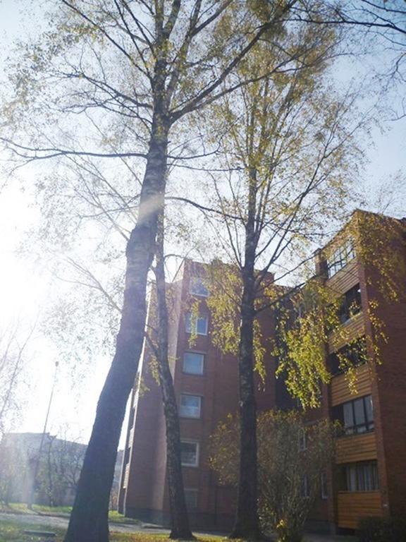 Saulys1 Lejlighed Druskininkai Værelse billede